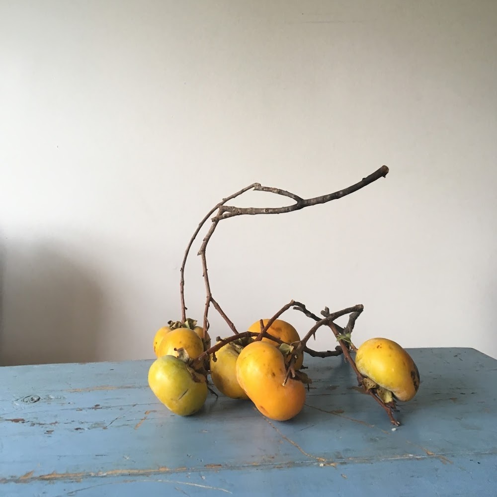 Meet your Posher, Margarita